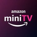 Amazon India Shop, Pay, MiniTV