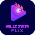 Buzzer Flix