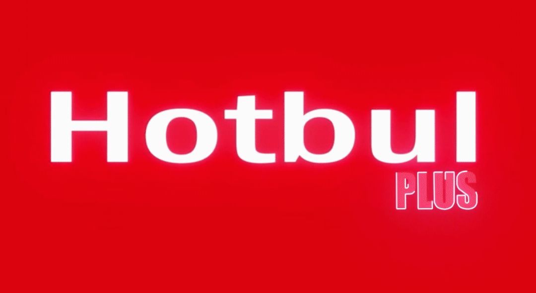 Screenshot_20260210 090138.HotbulPlus