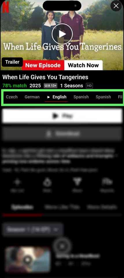 Multilingual Subtitle And Audio NetMirror~2